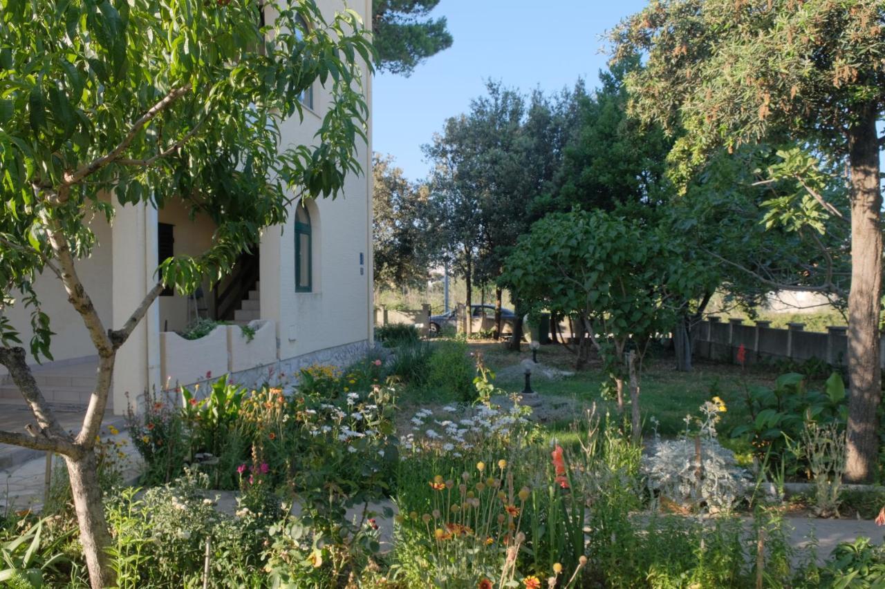 Apartmani Bosiljka Nin Buitenkant foto