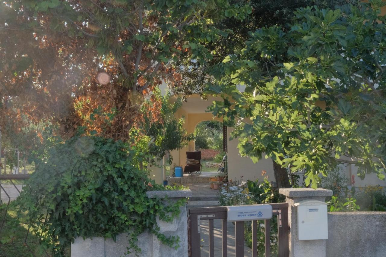 Apartmani Bosiljka Nin Buitenkant foto