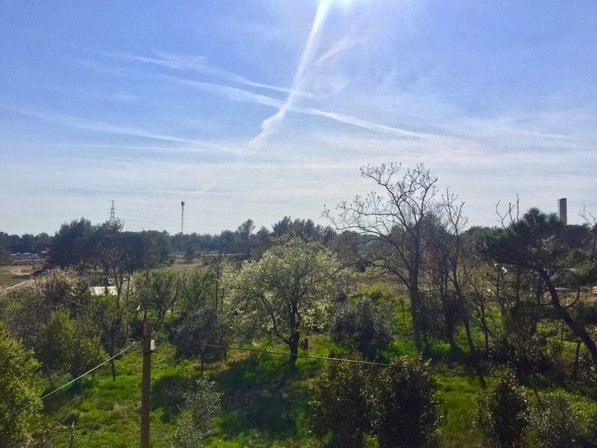 Apartmani Bosiljka Nin Buitenkant foto