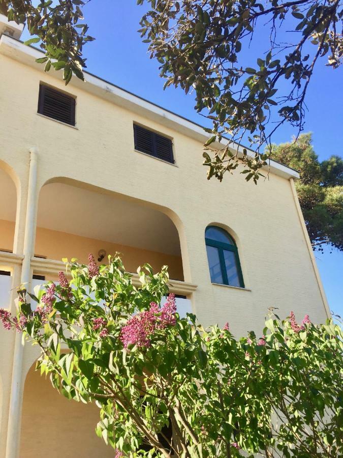 Apartmani Bosiljka Nin Buitenkant foto