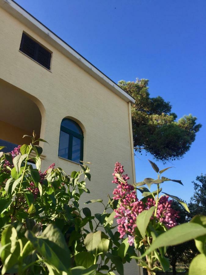Apartmani Bosiljka Nin Buitenkant foto